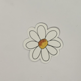 Daisy and Butterfly - My Mind's Eye