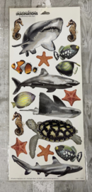 Fish Stickers - Creative Imaginations