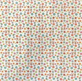 Eye Candy - Bloom & Grow Collection