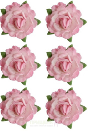 Tea Roses ScrapBerry's