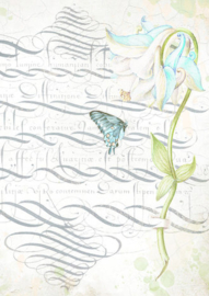 Romantic Garden House Clear Prints - Stamperia