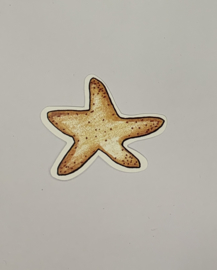 Starfish - My Mind's Eye