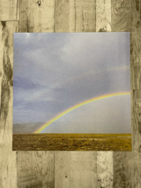 Rainbow Left - Wubie Prints