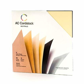 Textured Cardstock Neutrals value Pack - AC