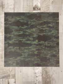 Fish Camouflage - Karen Foster