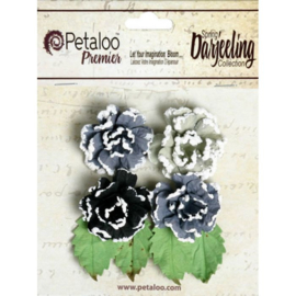 Frosted Roses Grey/Black Petaloo