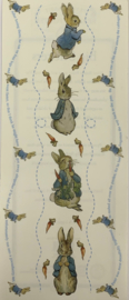 Hopping Peter by Beatrix Potter - Colorbok