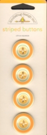 Striped Buttons Citrus Squeeze - Doodlebug