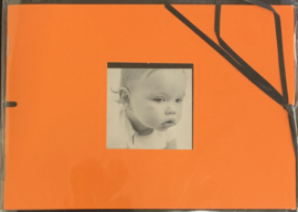 Mini Album Orange 1 5x7 - DCWV
