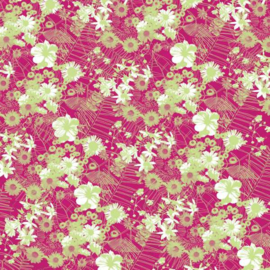 Rhapsody - Euphoria Collection