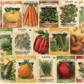 Enchanted Harvest Seed Packets - Bo Bunny