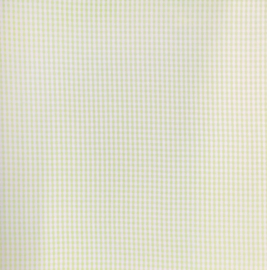 Baby Green Gingham - Bambino Collection - Daisy D's