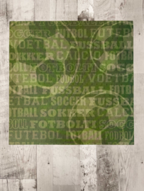 Intl. Soccer Green - Karen Foster