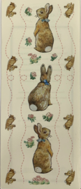 Bunnies Peter Rabbit by Beatrix Potter - Colorbok
