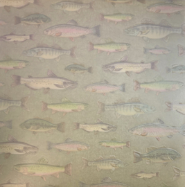 Fish Embossed Vellum - K & Company