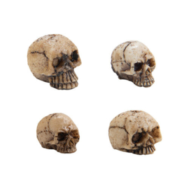 Skull Fragments - Tim Holtz Idea-ology