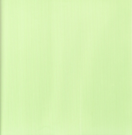 Lovely Lime Pinstripes - Doodlebug