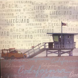 Warehouse Art Lifeguard (Transparency) - Creative Imaginations
