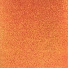 Orange Terricloth - Sandylion