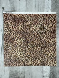 Leopard Wildlife - Making memories