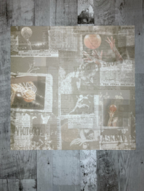 Basketball Collage - Karen Foster