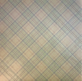 Westchester Plaid Embossed Vellum - K & Company