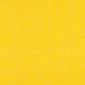 Bumblebee Sugar Coated Cardstock (Glitter) - Doodlebug
