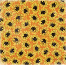 Enchanted Harvest Sunflowers - Bo Bunny