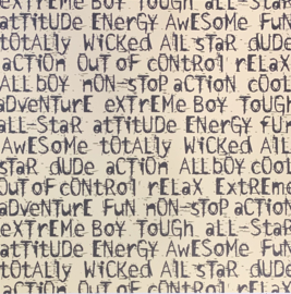 Extreme Boy Big Words by Teresa Collins - Junkitz