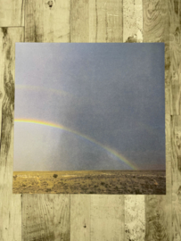 Rainbow Right - Wubie Prints