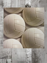 Volleyballs - Karen Foster