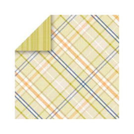 Poolhouse Bias Plaid - Chaterbox