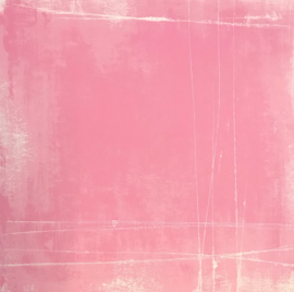 Pink Lady - AcidWashed Collection Basic Grey