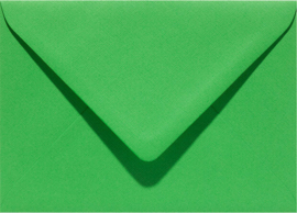 6x envelope Original 114x162mmC6 grassgreen - Papicolor