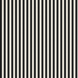 Stripes Resist Canvas Finnabair - Prima Marketing