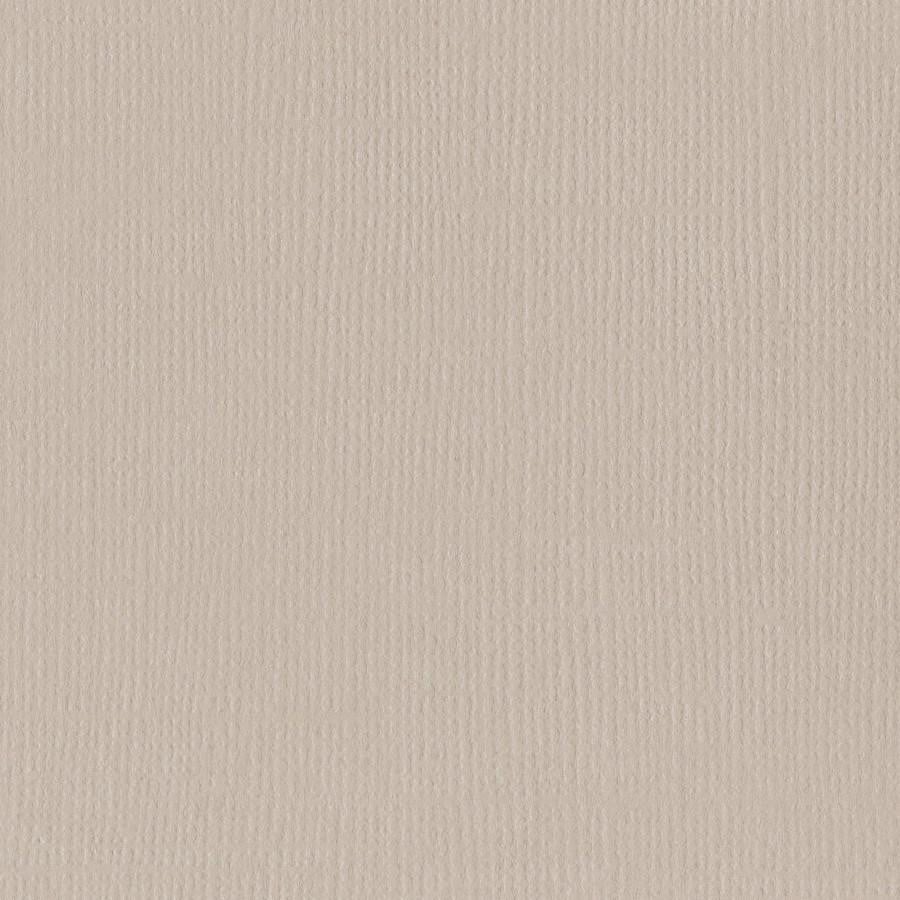 Twig 12x12 - Bazzill
