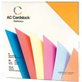 Textured Cardstock Tropicals Value Pack - AC