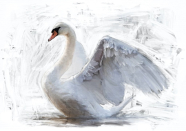 White Swan