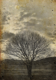 Sepia Tree