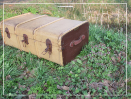 Grote houten diligence koffer (k014)