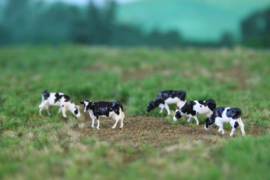 NVPS 201 Holstein zwartbont 1:160