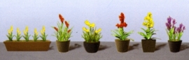 JTT 95567 Assorti potplanten