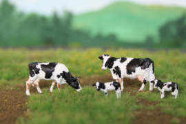 HVPS201 Holstein Zwartbont, set met 4 koeien 1:87