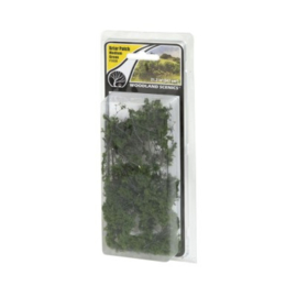 Briar Patch helder groene vegetatie FS 638
