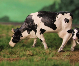 OVPS 2012 Holstein Zwartbont grazend 1:45