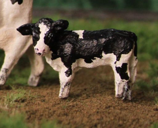 OVPS 2013 Holstein Zwartbont kalf 1:45