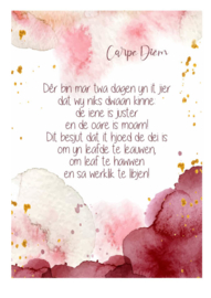 A4 poster "Carpe Diëm" - Jan van der Meer