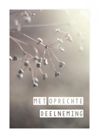 Met oprechte deelneming  - Zuiver Collectie