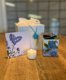 Giftbox vergeet-me-niet