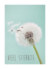 Veel sterkte (paardenbloem) - Zuiver Collectie